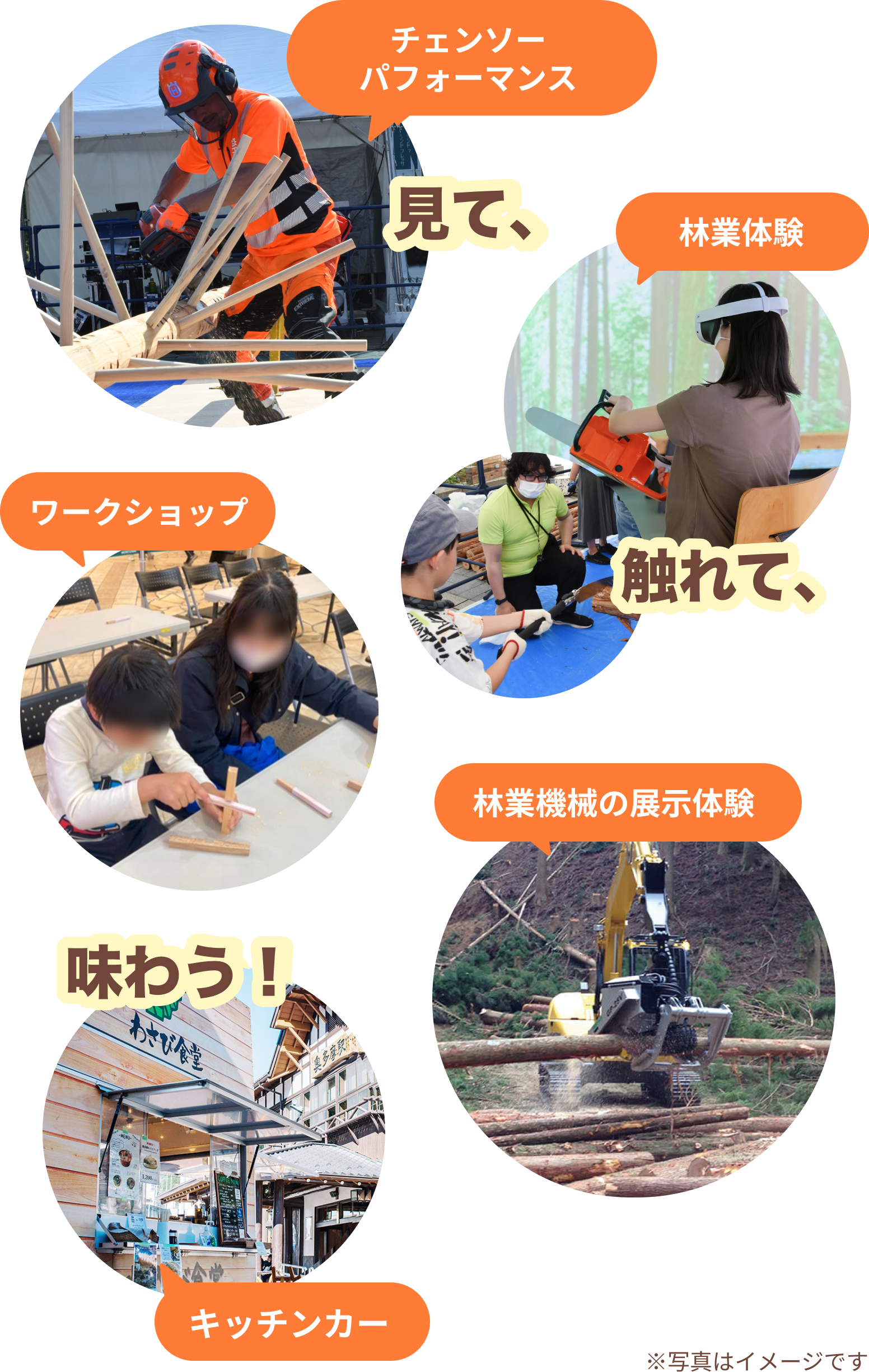 体験コンテンツの様子