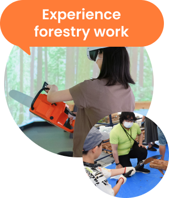 Experience forestry work