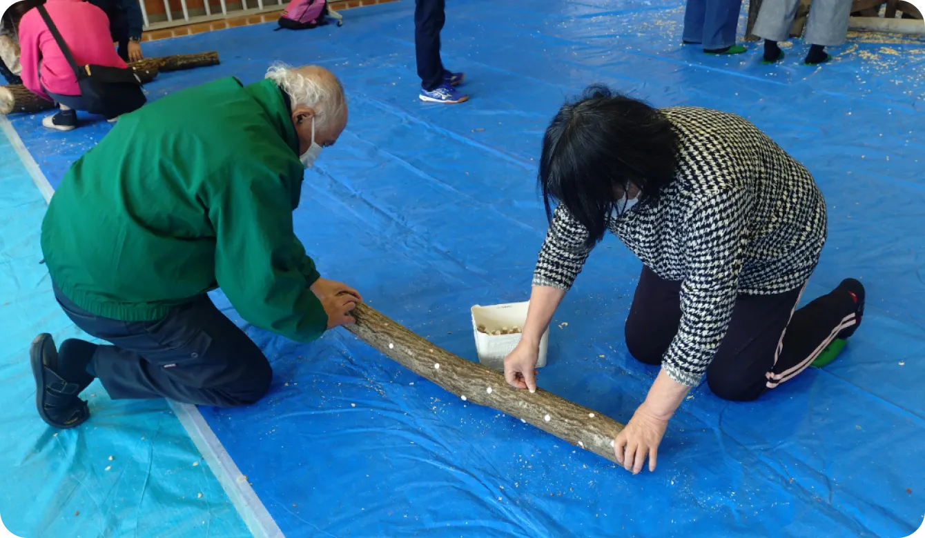 シイタケの駒打ち体験の実際の様子