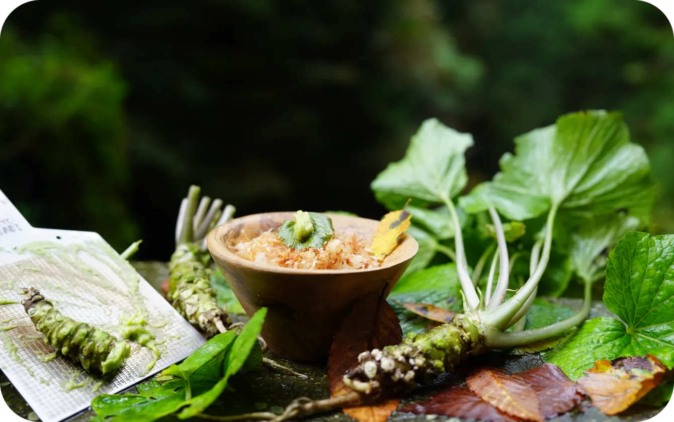 TOKYO WASABIのイメージ画像