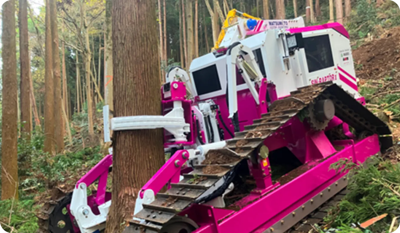 シン・ラプトルⅡの写真