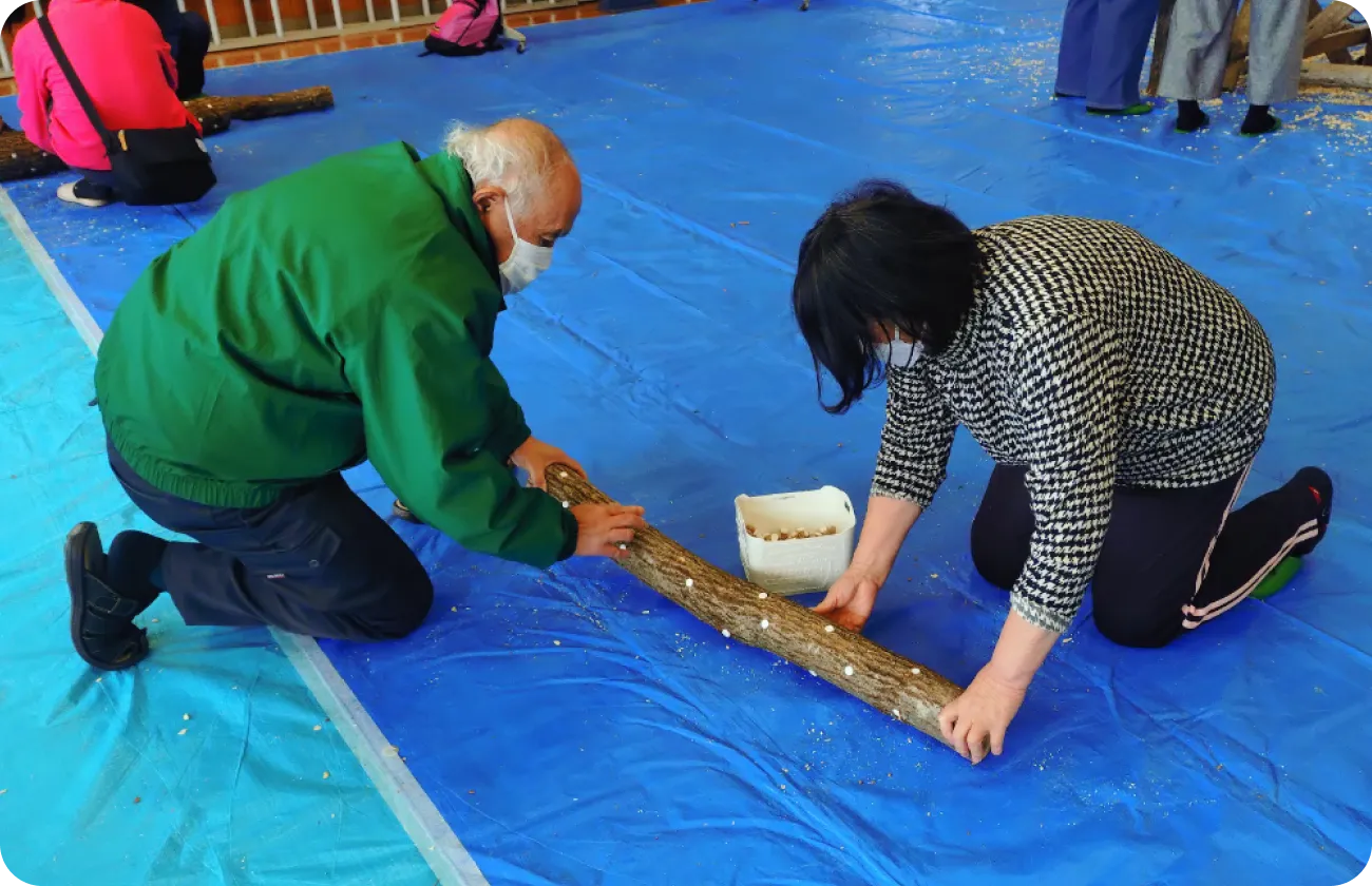 椎茸の駒打ち体験写真