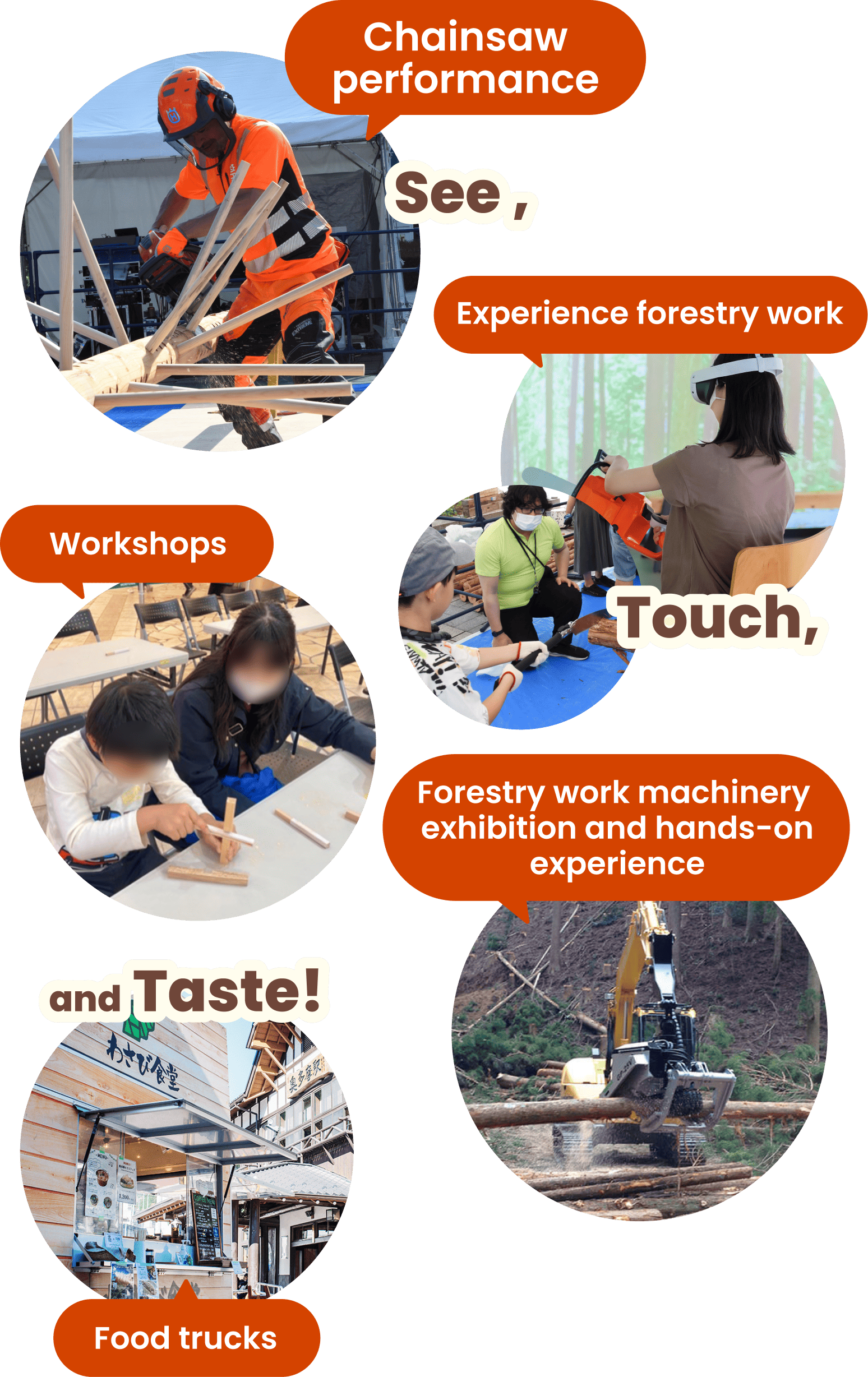 See, Touch, and Taste! Chainsaw Performance, Experience forestry work, Workshops, Forestry work machinery exhibition and hands-on experience, Food trucks.