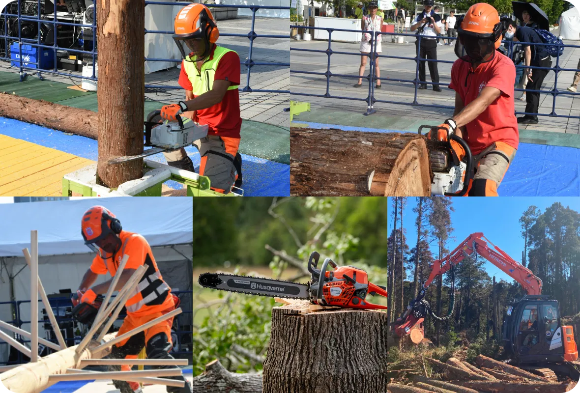 チェンソーパフォーマンスの写真