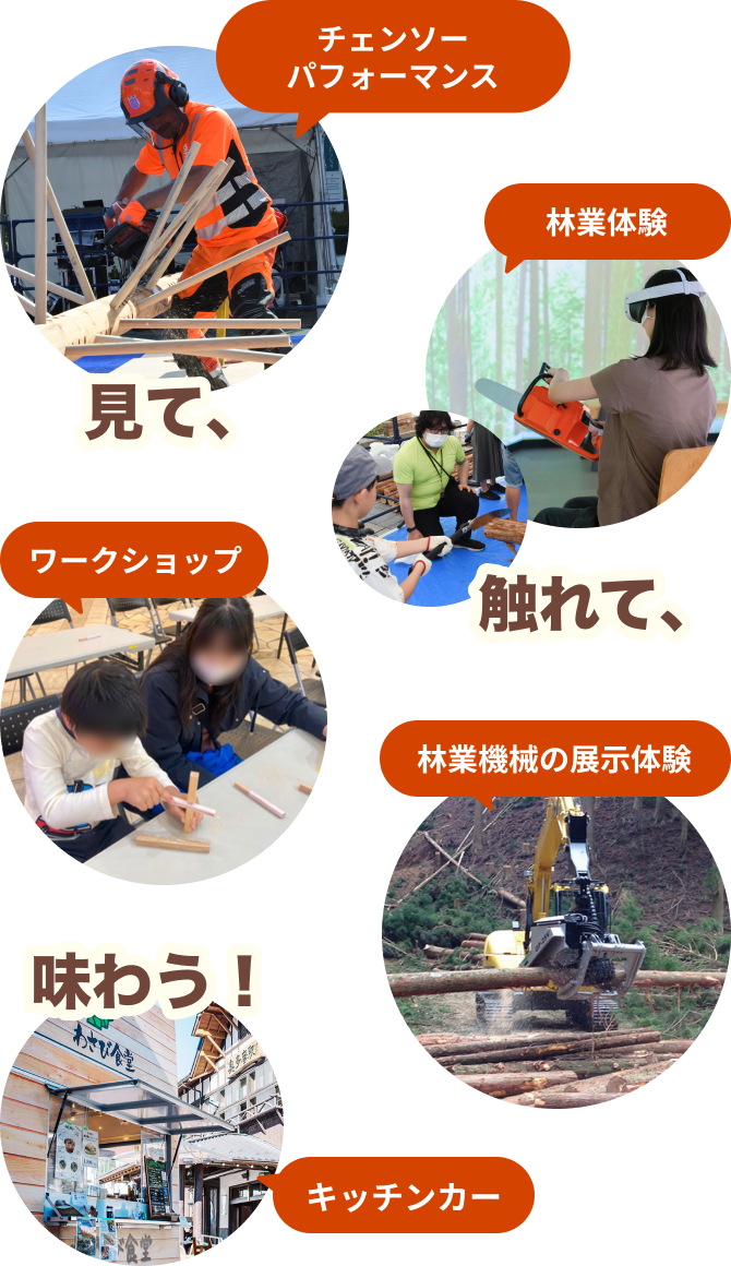 見て、触れて、味わう！チェンソ―パフォーマンス 林業体験 ワークショップ 林業機械の展示体験 キッチンカー